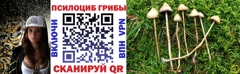 Галлюциногенные грибы MAGIC MUSHROOMS Нязепетровск